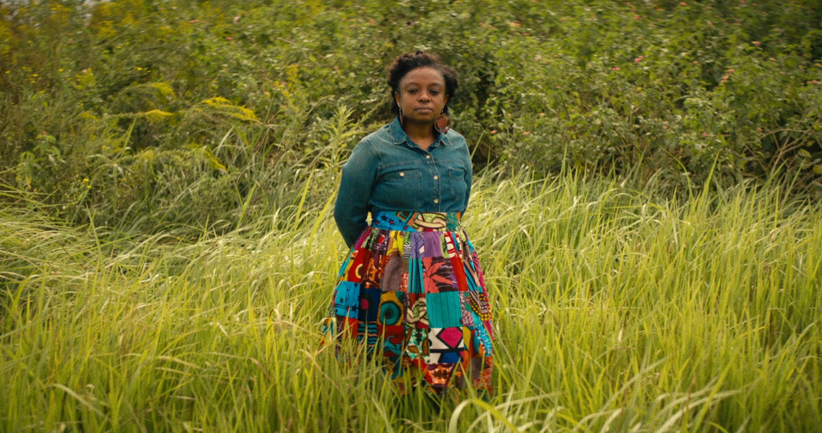 Descendant trailer artwork: a woman standing in tall grass.